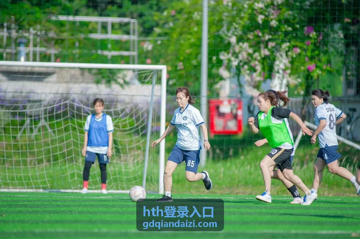 hth登录入口 页面访问与核对示意